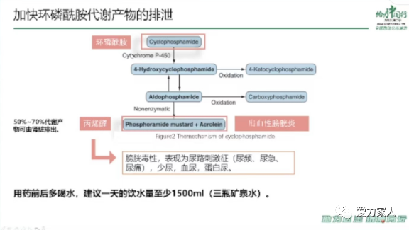 微信图片_20230305162753.png