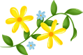 640 (1).png