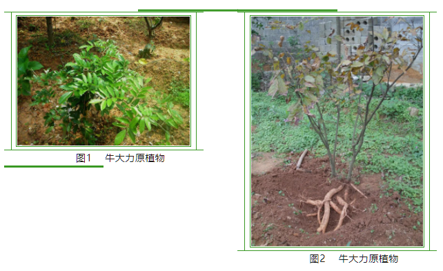 微信图片_20230714192709.png