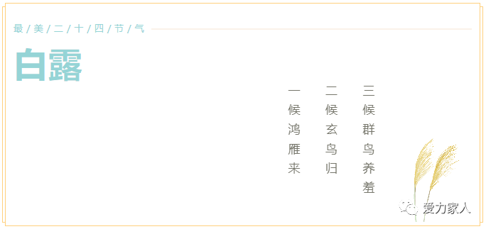 微信图片_20230908183218.png