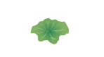 微信图片_20230506093203.gif