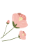 微信图片_20230514100719.gif