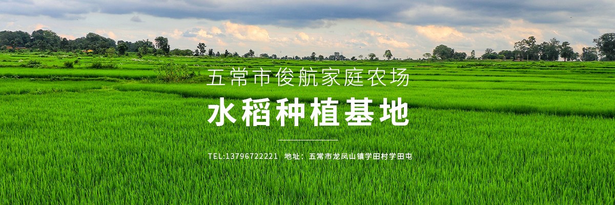 五常市俊航家庭农场
