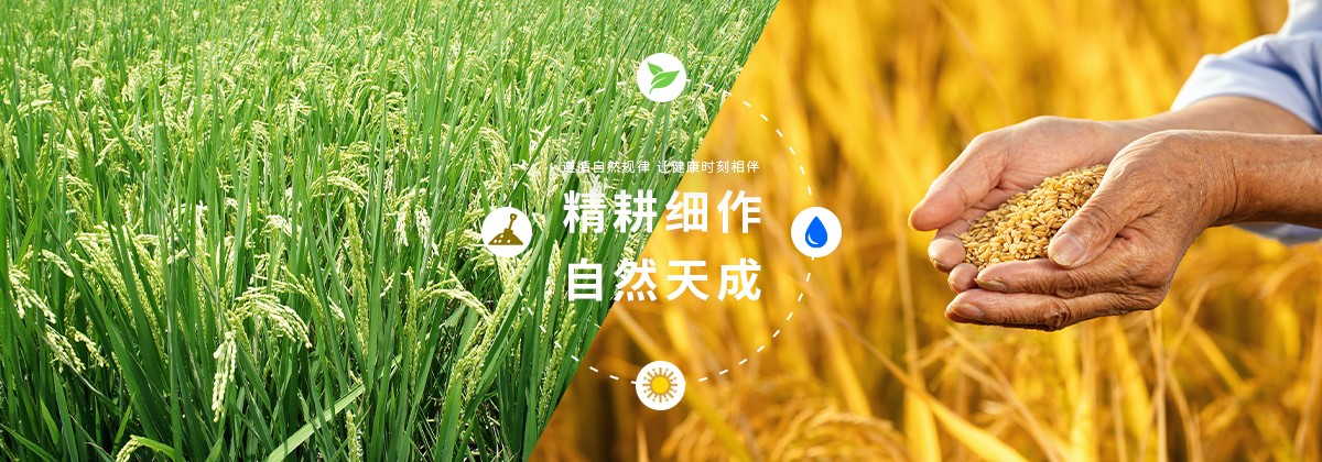 五常市俊航家庭农场